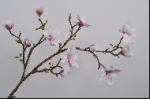 Magnolia tak roze 135 cm